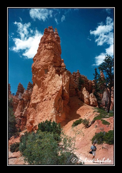 Brice canyon NP